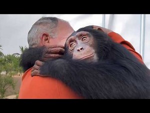 Best Moments When Animals Reunited With Their Owners After Years