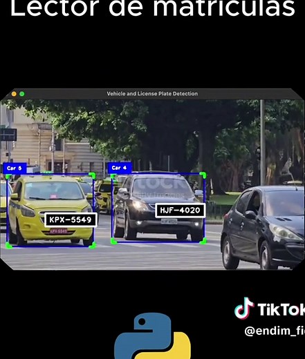 Lector de Matrículas Automático Usando Python