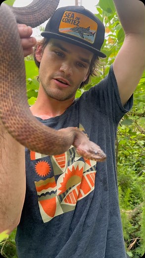 Harris Smith on Instagram: "Check out the largest Water Snake I’ve ever found, it really wanted a piece of me! #snake #snakes #snakesofinstagram #reptiles #reptile #reptilesofinstagram #nature #naturelovers #naturephotography #wildlife #wildlifeonearth #wildlifephotography #wild #viral #kingsnake #herping #explore #explorepage #instagood #instagram #instadaily #reels"