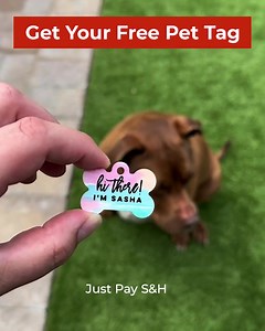 412 reactions · 222 shares | Free pet tag? Yes please! This deal is all yours, only on the Shutterfly app. Use code APPTAG Just pay S&H.  | Shutterfly | Facebook