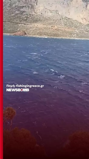 Η μεσαίου μεγέθους φάλαινα που κολύμπησε στα νερά του νησιού χάρισε ένα μοναδικό θέαμα σε όσους ήταν παρόντες #newsbombgr #kalimnos