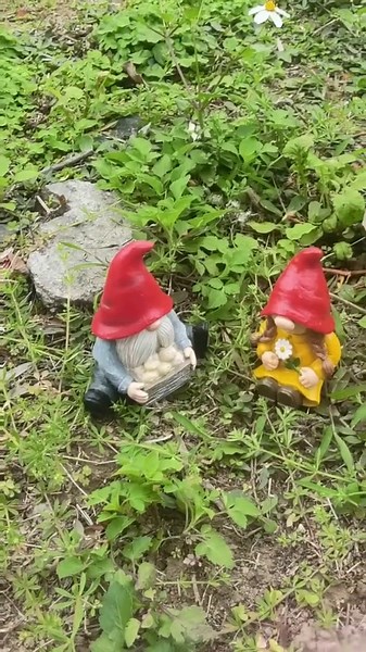 2PC Garden Gnome Statues,Funny Gnomes Garden Decor,Creative Garden Gnomes Outdoor Patio Decor,Yard Decorations Outdoor Decorations Patio and Patio Gifts