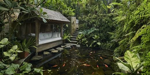 These Koi Pond Ideas Inspire Instant Relaxation
