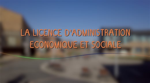 La licence d Administration Economique et Sociale (AES) | Orientation et Insertion professionnelle - Université d Artois