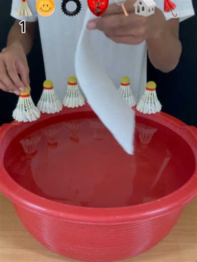 Toilet Paper Roll Water Experiment