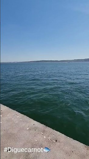 Digue carnot de Boulogne Sur Mer ! 🎣🐟😎