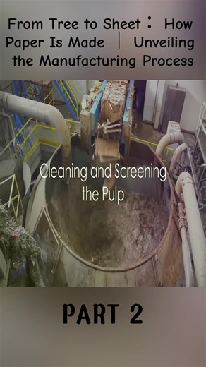 From Tree to Sheet: Exploring Paper Manufacturing