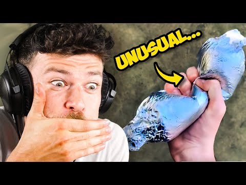 My Cousin Hates Unusual Memes...