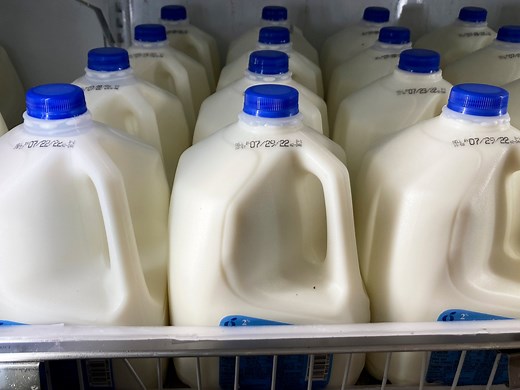 How 80K gallons of milk a day make it from farm to Colorado table