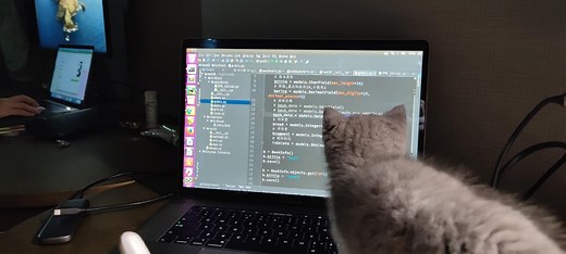 什么样的 Python 编辑器比较适合新手？