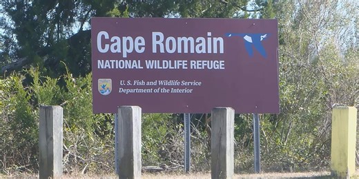 State Supreme Court halts 200-home development in Awendaw