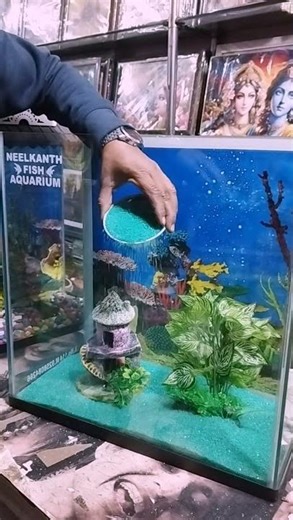 Mini Aquarium Green Sand Setup | Chhota Tank, Badi Khoobsurti #fishtank #aquascape
