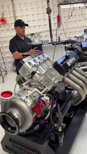 Exploring the World of Excavators in Construction