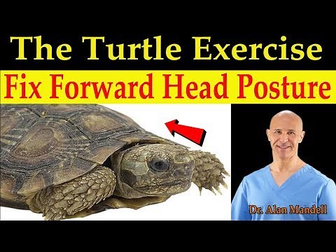 The Turtle Exercise / The Simple & Fun Way to Fix Forward Head Posture - Dr Alan Mandell, DC