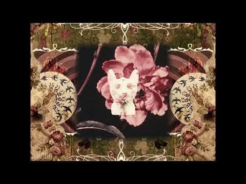 Sad songs that make me explode 🤯 (Time stamps in description)