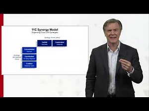 Ron Meyer - 11C Synergy Model