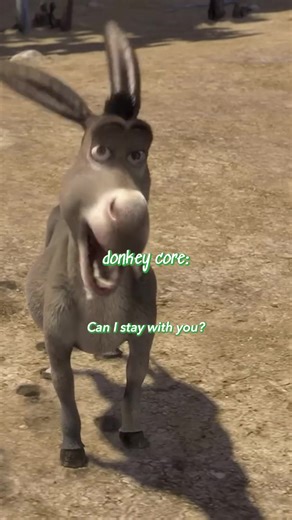 we’re all donkeys on the edge 💚 #Donkey #Shrek | donkey