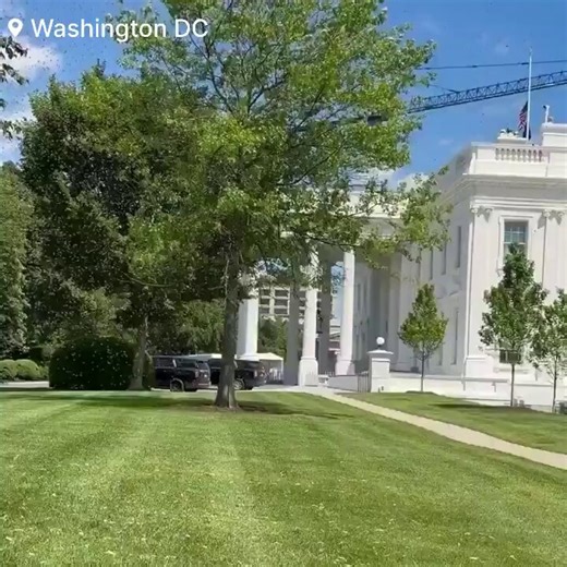 The White House was attacked by a swarm of bees and i’m not even joking😭