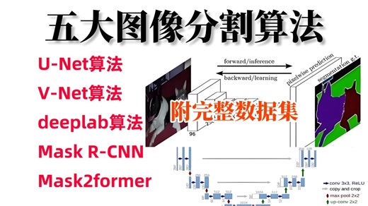 2026最新【五大图像分割】保姆级教程：一口气学完U-Net、V-Net、Deeplab、Mask R-CNN、Mask2former等分割算法一次学饱！AI/