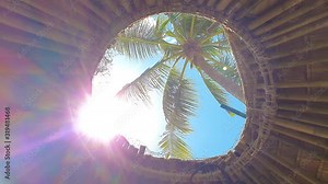 Tropical concept video. Sunflares in the roof's window. Palm view throught roof's window in beach bungalow.
