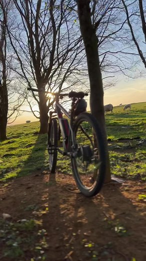 Vengeance E Bike #carrera #bike #foryou #visuals