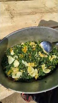 Cooked Young Pumpkin Vine Taste Like Callaloo Have You Ever Tried It?