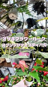 スプリングフェスティバルに行ってきました｜オザキフラワーパーク #観葉植物 #オザキフラワーパーク #vlog #plants