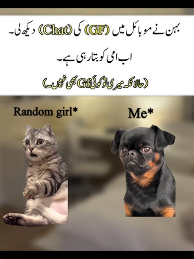 Hilarious Meme Reactions That Will Make You Laugh