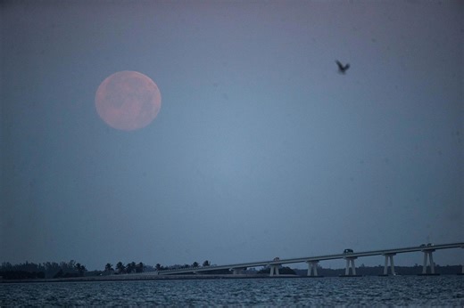 What to know about February's snow moon, Alpha Centaurid meteor shower