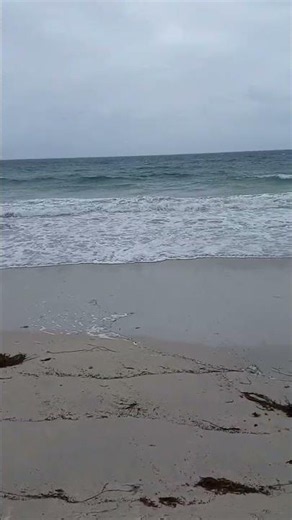 la nature du Finistère est magnifique