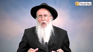 3K views · 54 reactions | 'Hassidout : La Providence divine selon le Ba'al Chem Tov (Rav Shaul SILLAM) | Torah-Box | Facebook