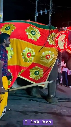 Elephants from South Asia that have captured the world's attention | Elephants that graced the