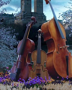 Spring sounds like a flourishing song! | Candlelight Concerts by Fever