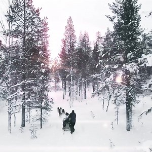 1.2K reactions · 128 shares | Make it a Christmas to remember ✨ Whisk your family away to Santa's snowy Lapland home and spend your trip surrounded by magical reindeer, energetic huskies and cheeky elves. Our Price Match Promise guarantees that if you find your trip cheaper before booking, we’ll match the price! T&Cs apply. | Santa's Lapland | Facebook