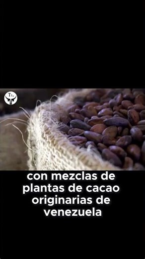 Descubre el Chocolate Tuak