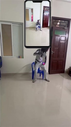 Scary Teacher 3D outside the window Spiderman 🤣 Green Screen #shorts #funny #spiderman