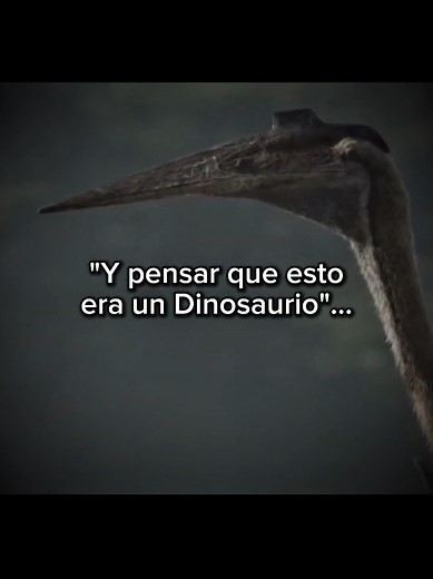 Quetzalcoatlus: El Terror Volador del Cretácico