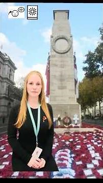Makaton Story - Armistice Day #communicationskills #makaton