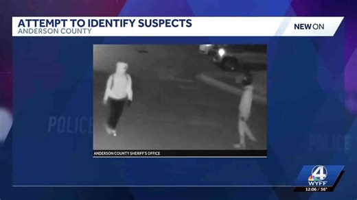 Pictures released after string of car break-ins in Upstate neighborhood