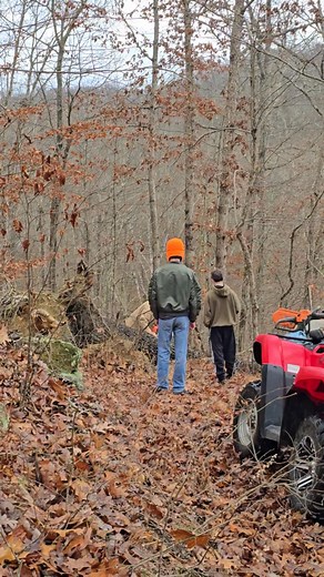 Scuba Chick on Reels