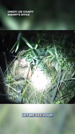 Florida Motorcyclist Crashes Into Car, Harms K-9 During Arrest: Deputies