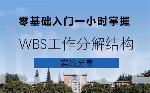 项目经理必备-WBS工作分解结构