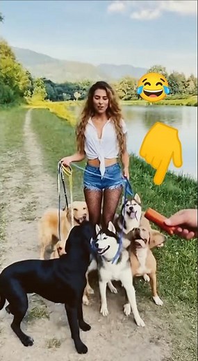 Ultimate Animal Fails Compilation 🤣