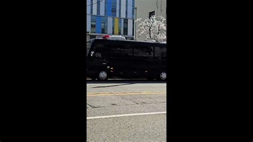 Wolf escapes zoo prompting sparking frantic search in South Korea