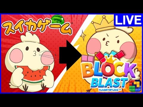 【スイカゲーム→Block Blast】絶好調男の快進撃を見よ!!夜の縦型配信!! #ブロックブラスト #blockblast #hungrystudio #shorts 【じゃぽにか】
