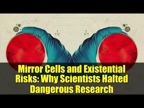 Mirror Cells and Existential Risks: Why Scientists Halted Dangerous Research