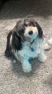 Life is too short, do not waste it. A heartfelt goodbye