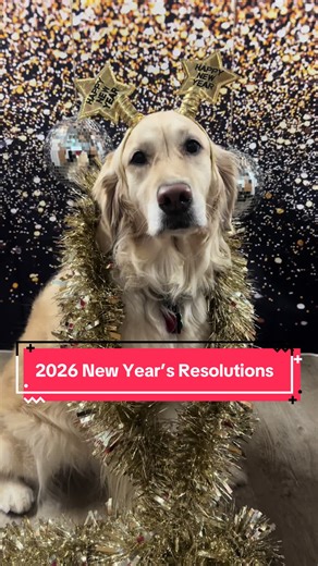 Happy New Year Goals at Camp Bow Wow 2026