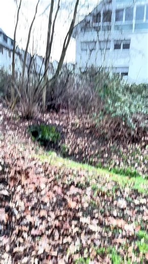 #techtok #viral #fyp #window #peak