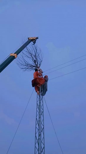 Utility Worker Securing Tree Branch on Tall Pole